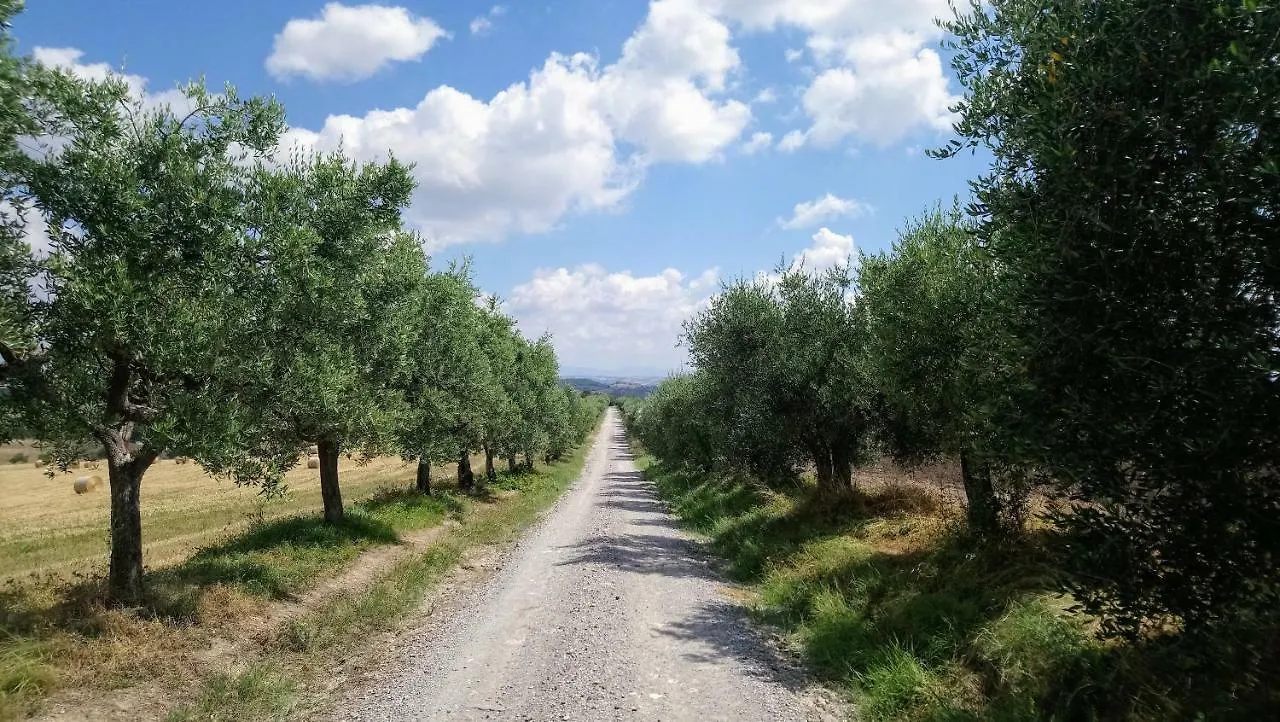 Farm stay Agriturismo Casa Rossa Chianciano Terme